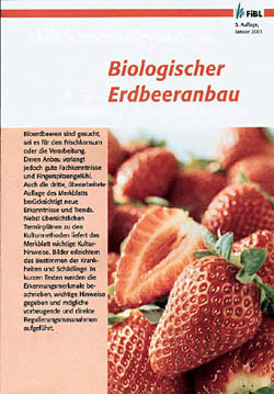 Biologischer Erdbeeranbau