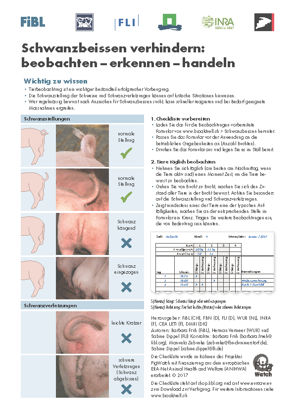 Cover: Schwanzbeissen verhindern: beobachten – erkennen – handeln