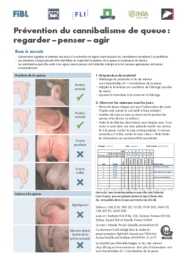 Cover: Prévention du cannibalisme de queue : regarder – penser – agir