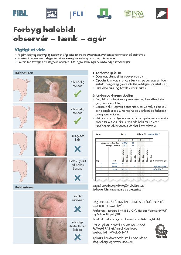 Cover: Forbyg halebid: observér – tænk – agér