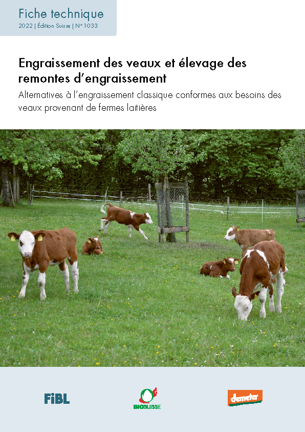 Engraissement des veaux et élevage des remontes d’engraissement