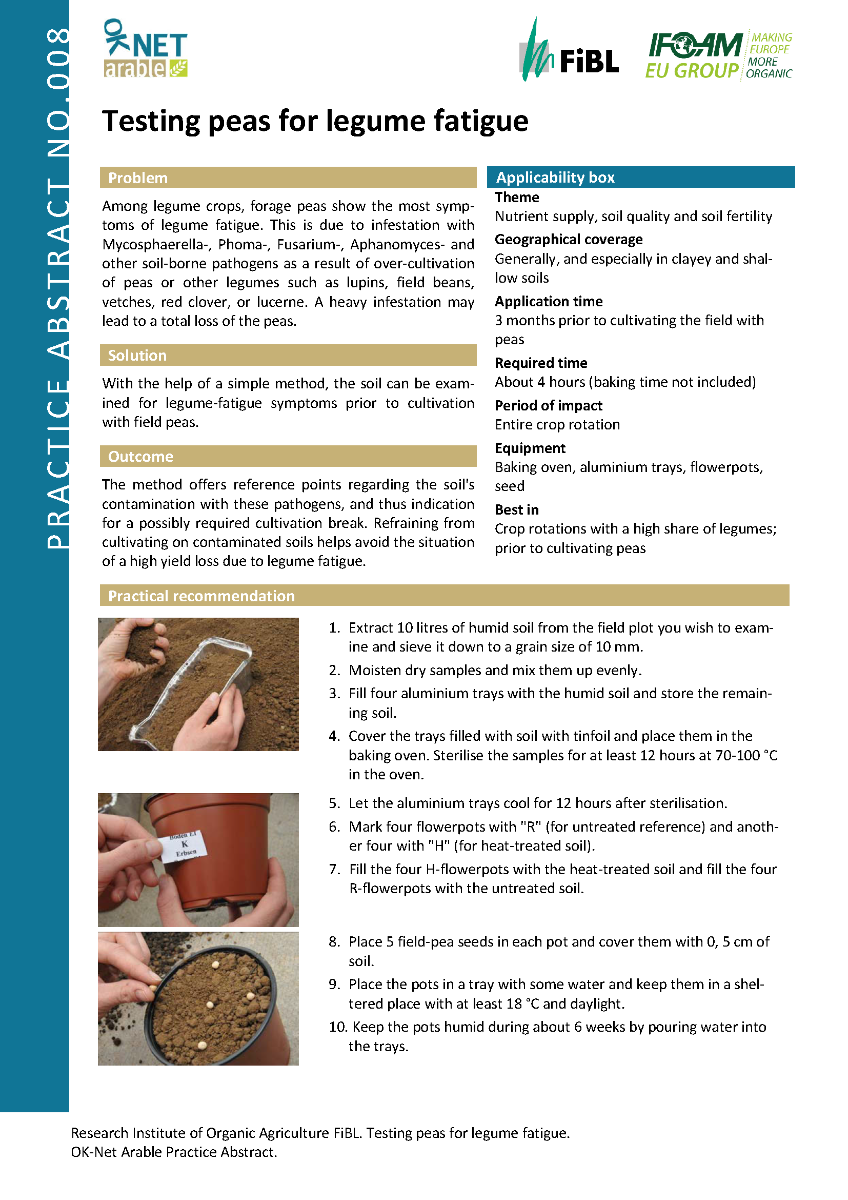 Cover: Testing peas for legume fatigue
