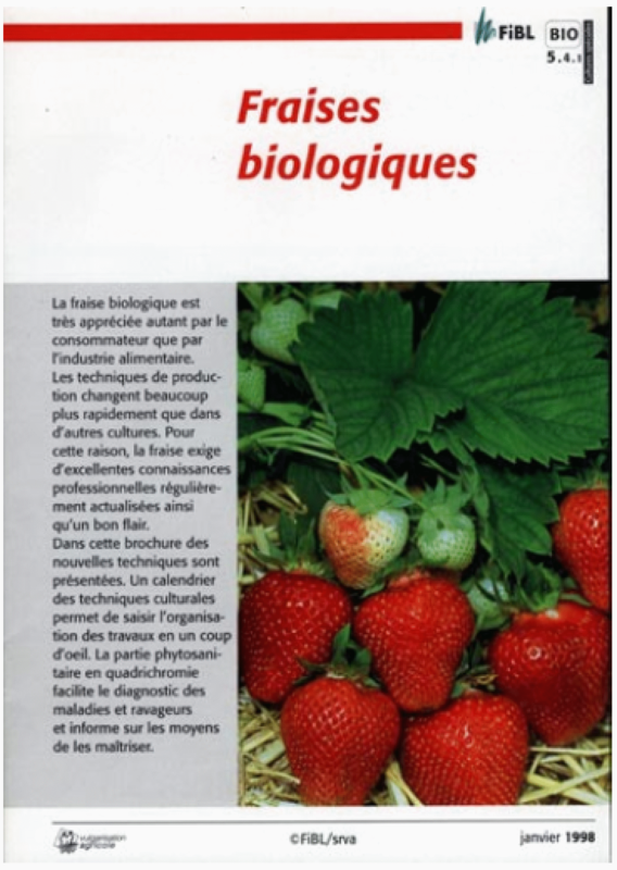 Fraises biologiques