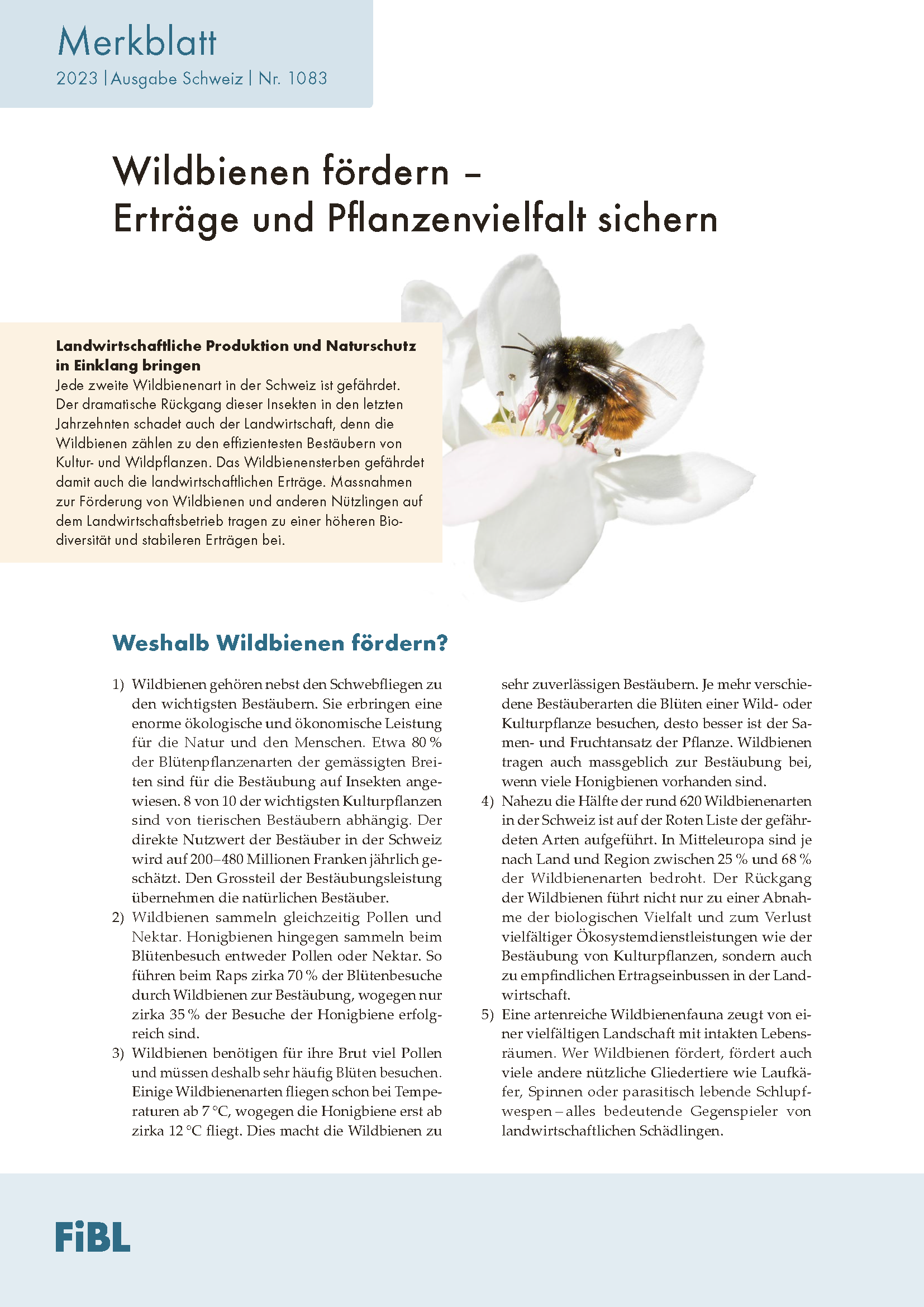 Wildbienen fördern – Erträge und Pflanzenvielfalt sichern