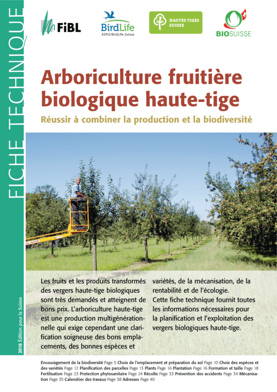 Arboriculture fruitière biologique haute-tige