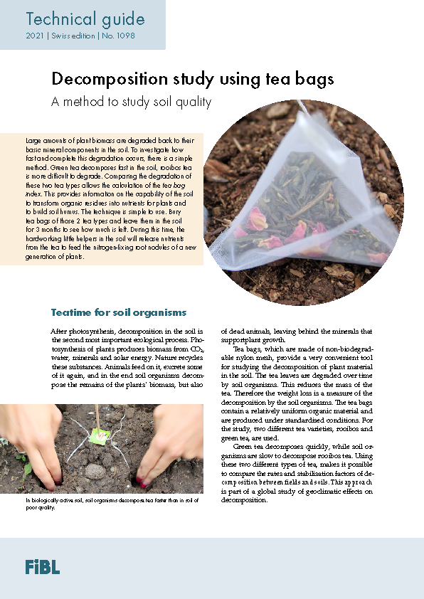 Cover: Decomposition study using tea bags