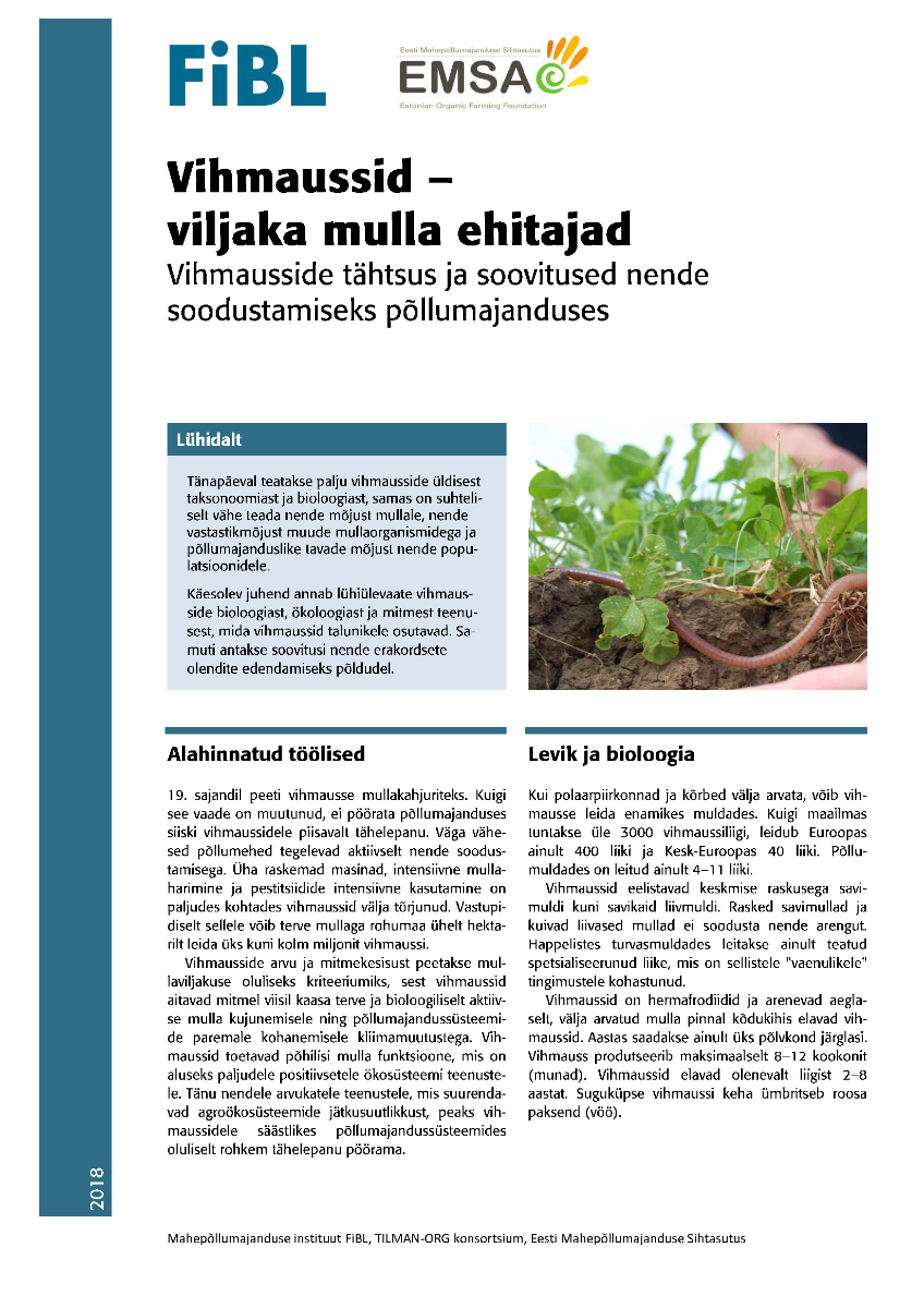 Cover: Vihmaussid – viljaka mulla ehitajad