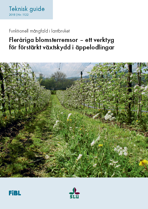 Cover: Fleråriga blomsterremsor - ett verktyg för förstärkt växtskydd i äppelodlingar