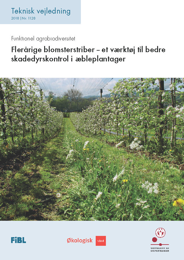 Cover: Flerårige blomsterstriber – et værktøj til bedre skadedyrskontrol i æbleplantager