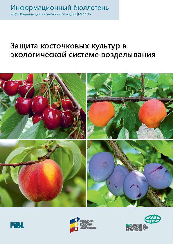 Cover Zashchita kostochkovykh kul'tur v ekologicheskoy sisteme vozdelyvaniya