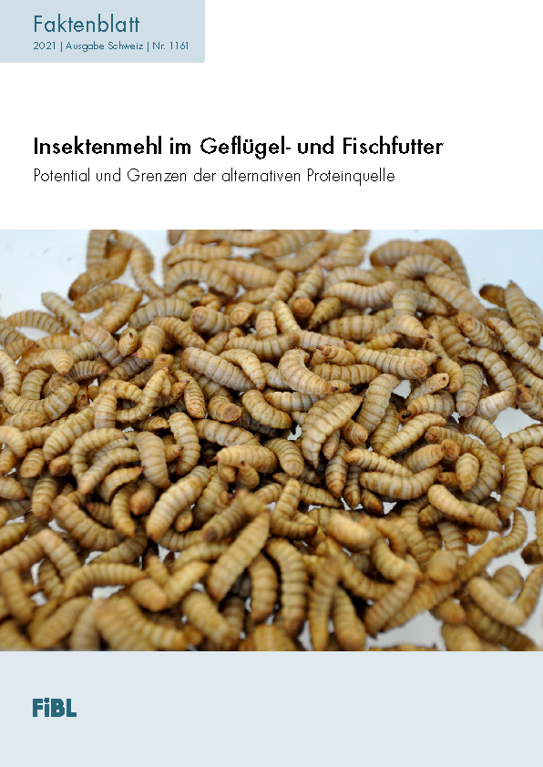 Cover: Insektenmehl im Geflügel- und Fischfutter