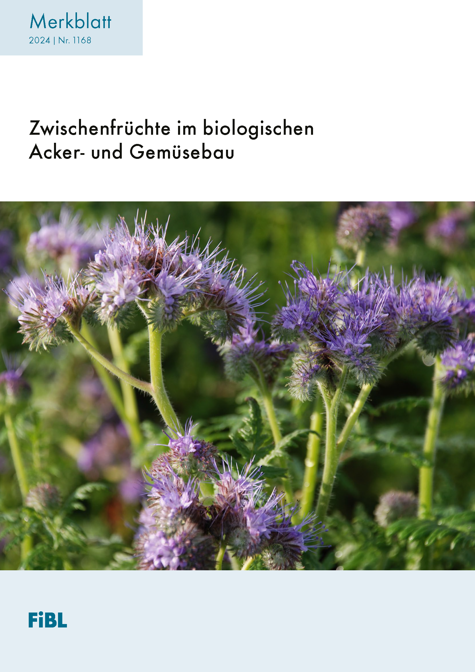 Cover: Gründüngungen: Schlüssel zum erfolgreichen Biogemüsebau