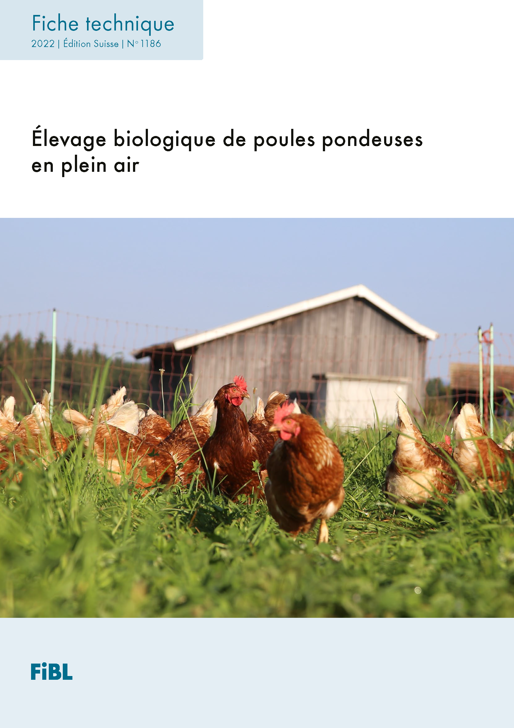 Élevage biologique de poules pondeuses en plein air