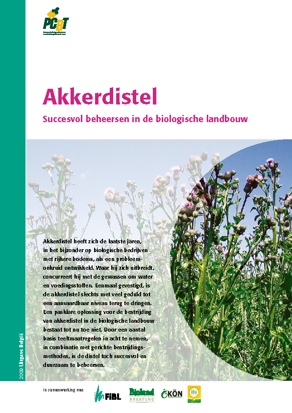 Cover: Akkerdistel