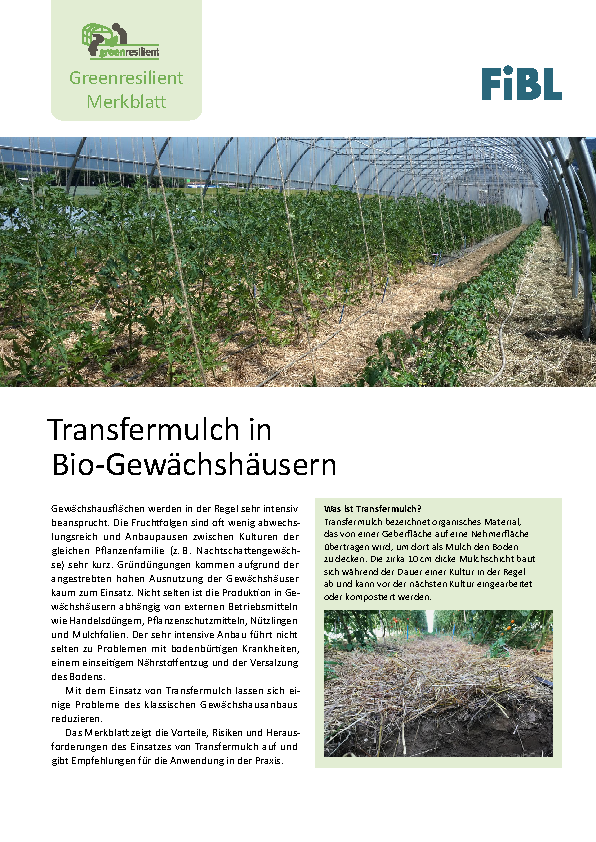 Transfermulch in Bio-Gewächshäusern