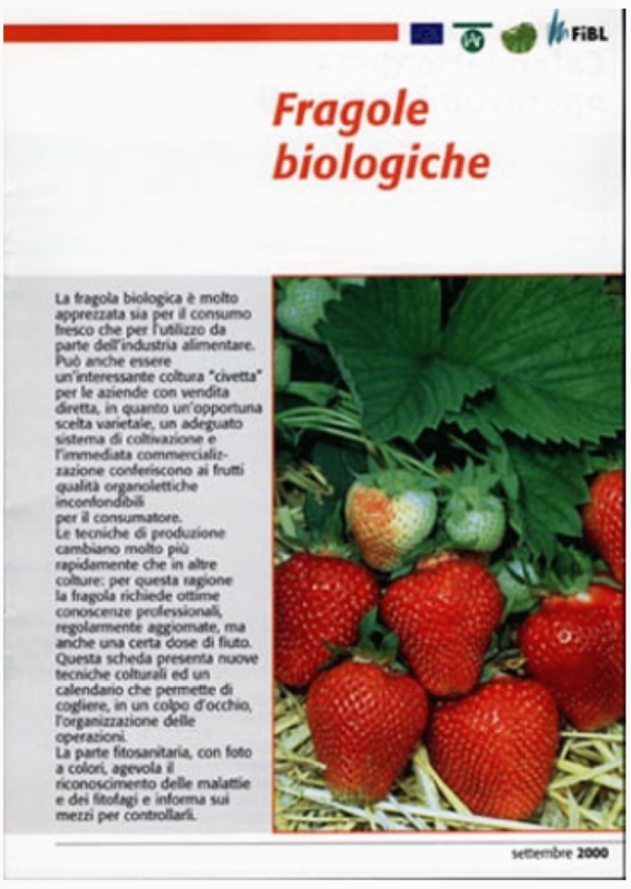 Cover: Fragole biologiche