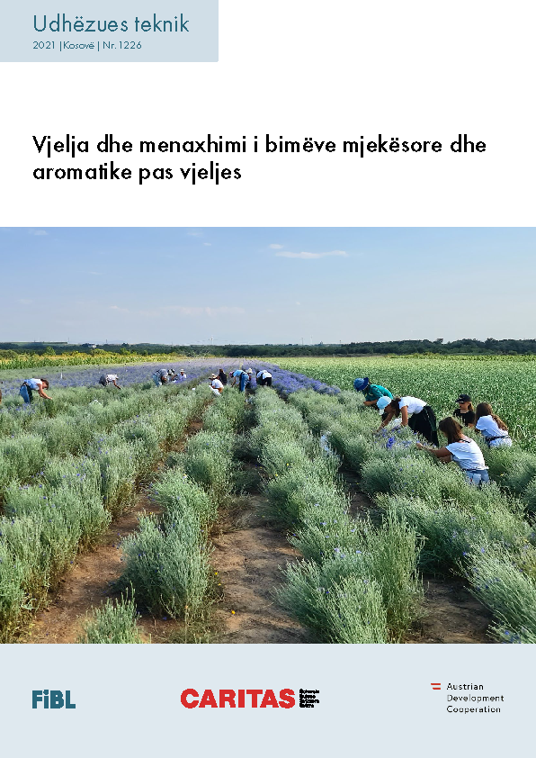 Cover: Vjelja dhe menaxhimi i bimëve mjekësore dhe aromatike pas vjeljes