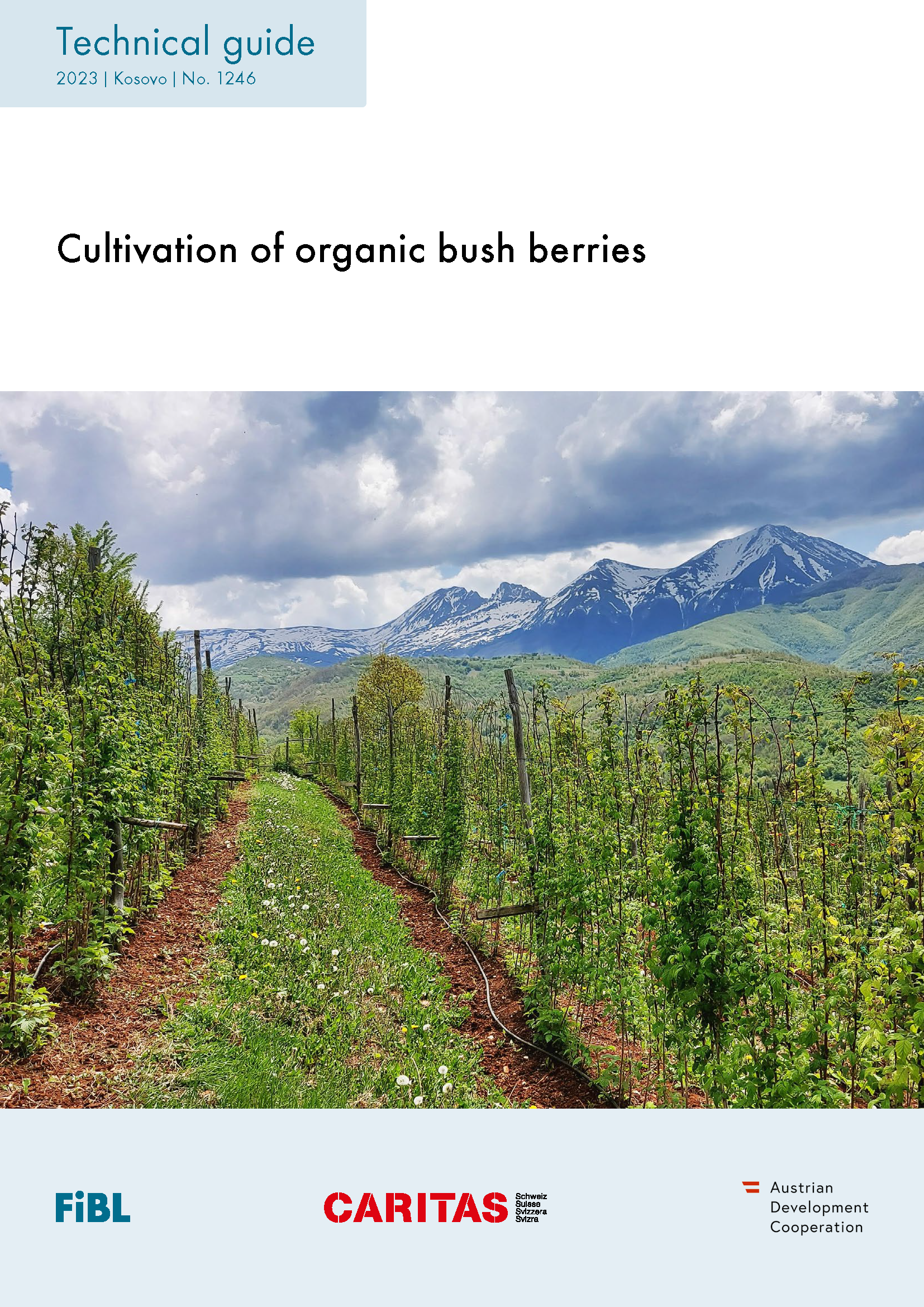 Cover: Cultivation of organic bush berries