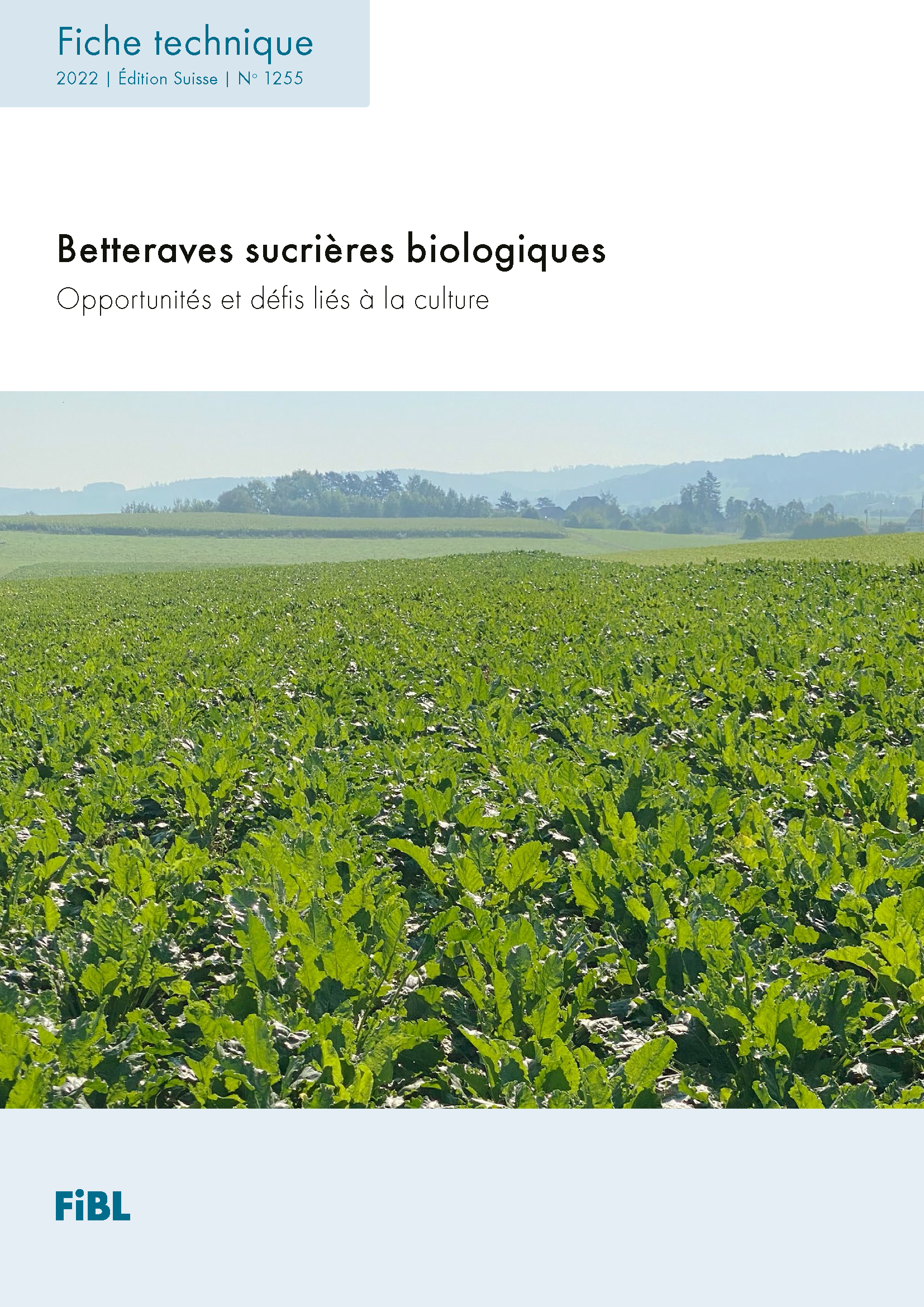 Cover: Betteraves sucrières biologiques
