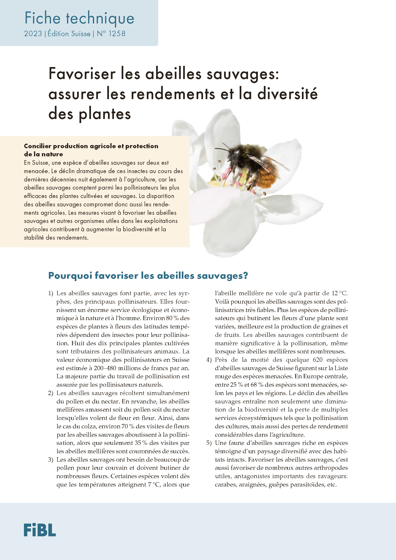 Cover: Favoriser les abeilles sauvages: assurer les rendements et la diversité des plantes