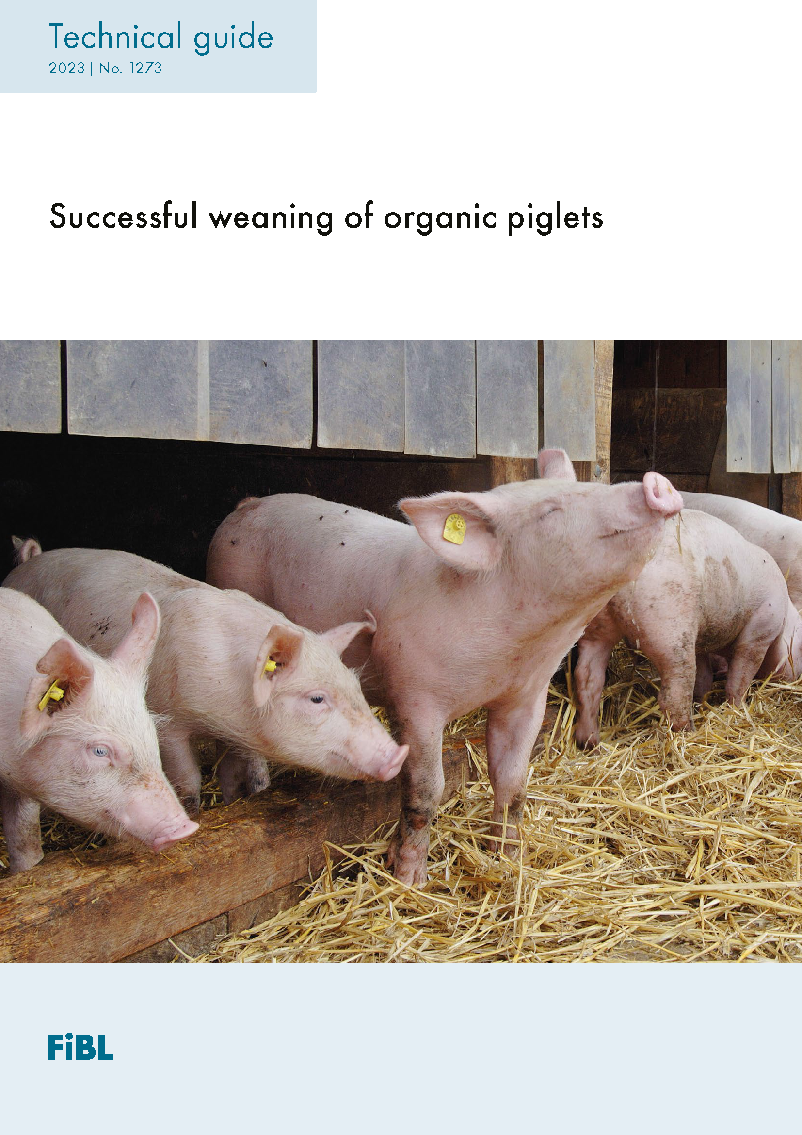Cover: Successful weaning of organic piglets