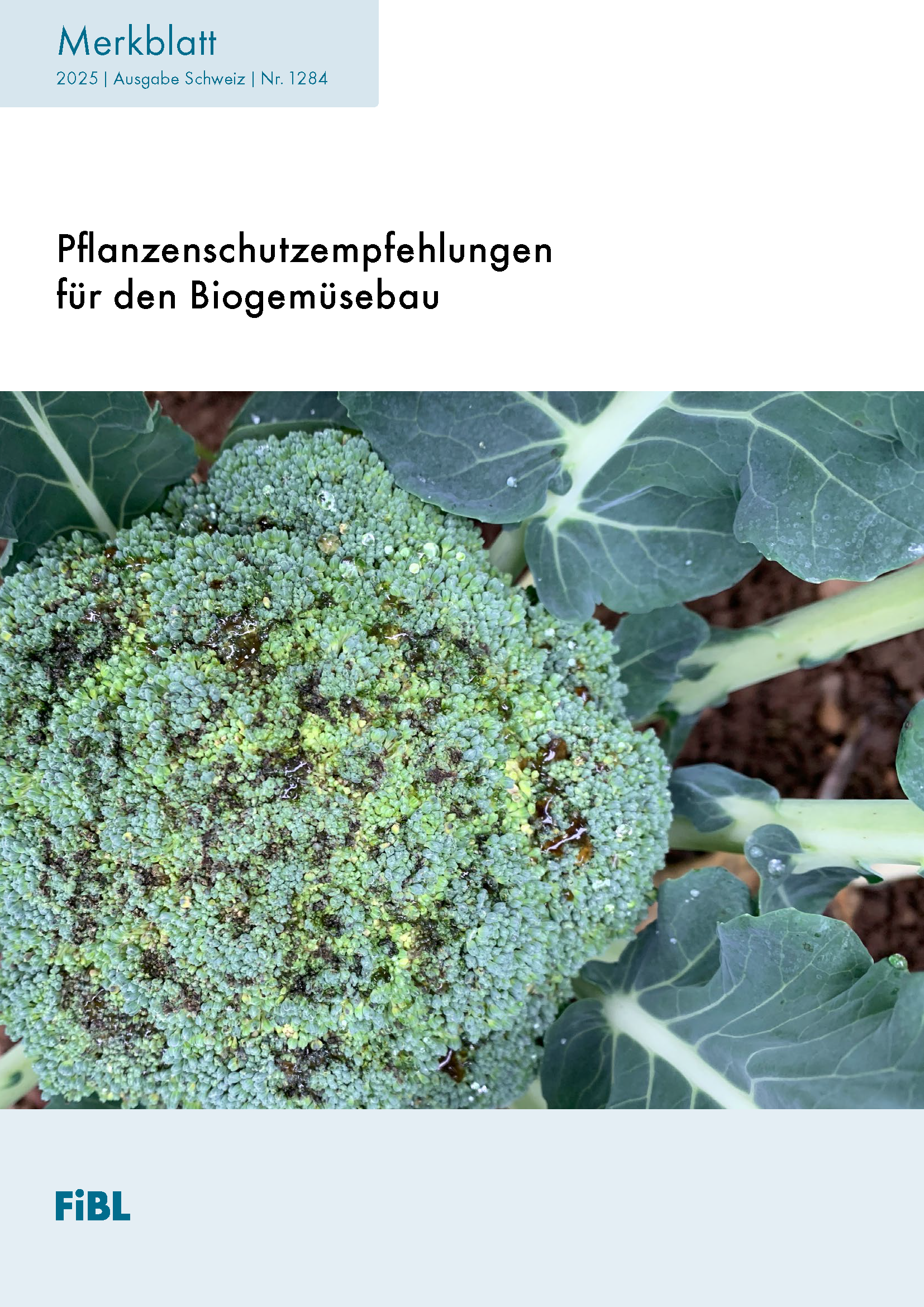 Cover: Pflanzenschutzempfehlungen für den Biogemüsebau