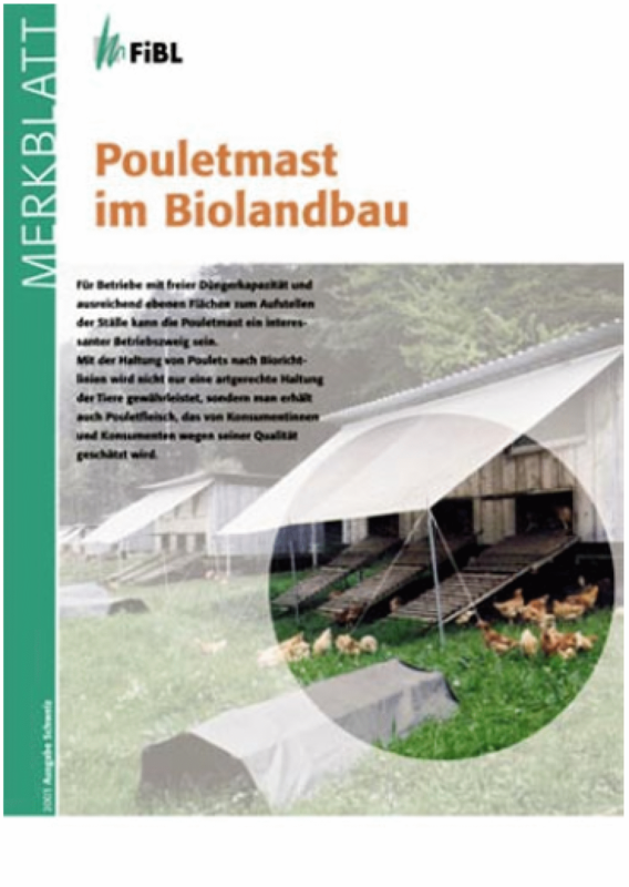 Pouletmast im Biolandbau