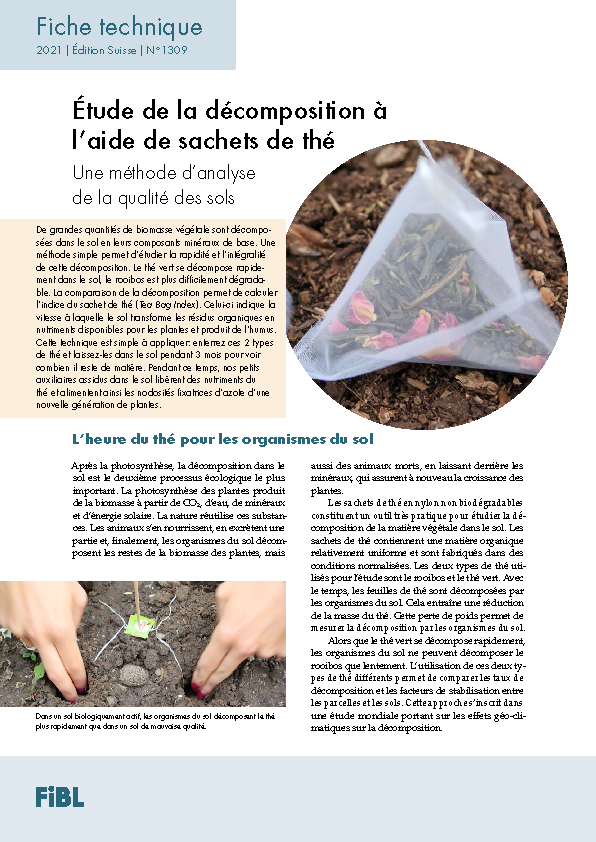 Cover: Étude de la décomposition à l’aide de sachets de thé