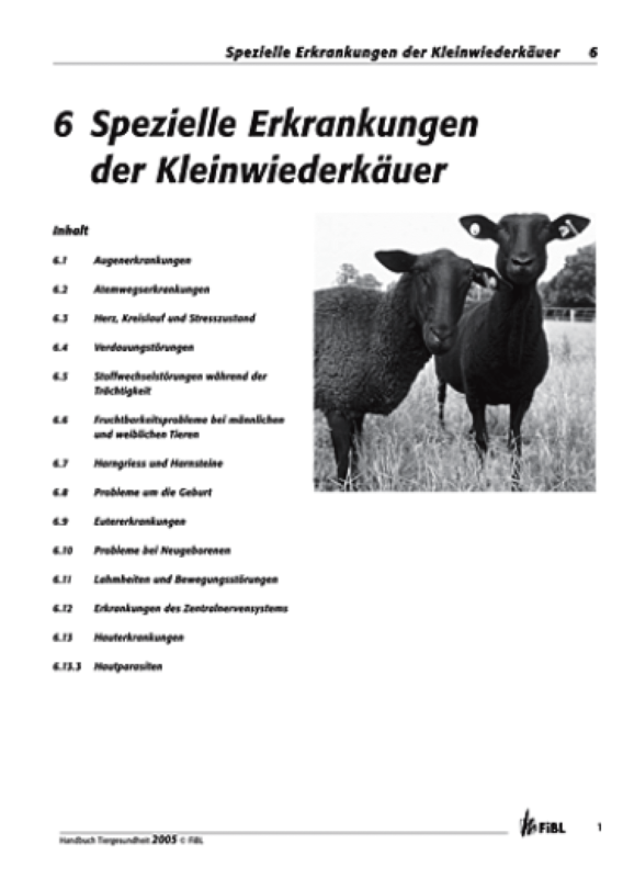 Cover: Spezielle Erkrankungen bei Kleinwiederkäuern