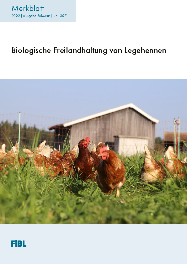 Biologische Freilandhaltung von Legehennen