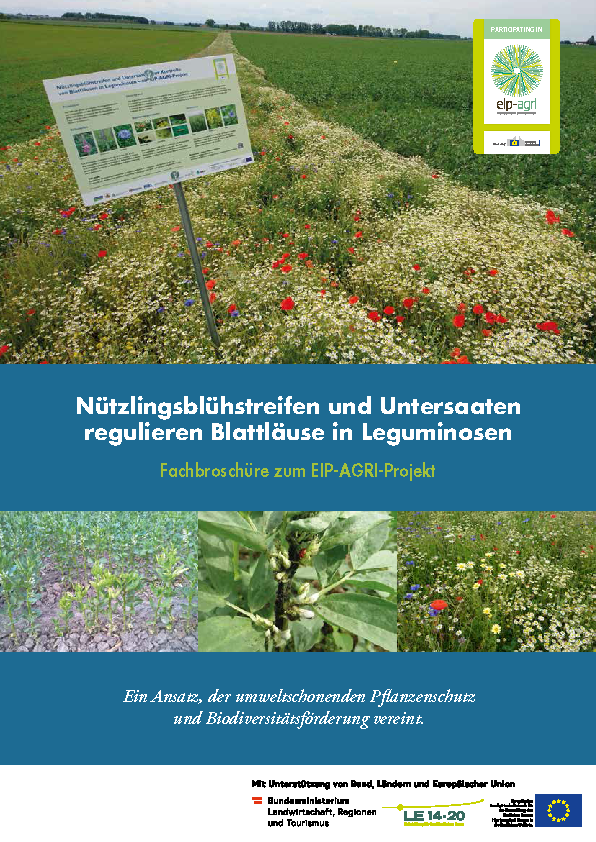 Cover: Nützlingsblühstreifen und Untersaaten regulieren Blattläuse in Leguminosen