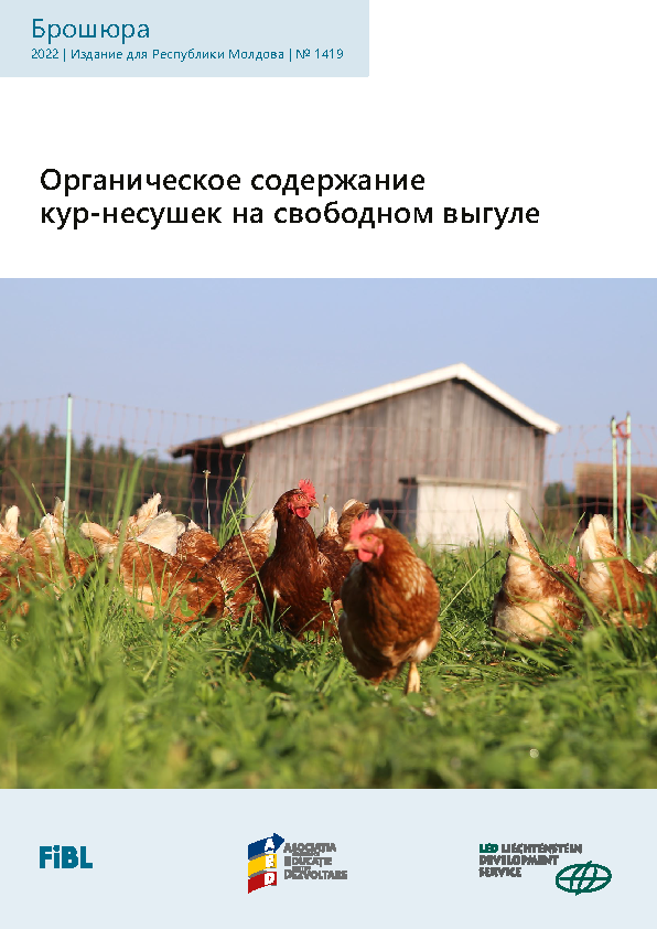 Cover Organicheskoye soderzhaniye kur-nesushek na svobodnom vygule