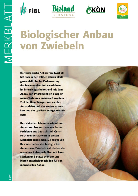 Biologischer Anbau von Zwiebeln