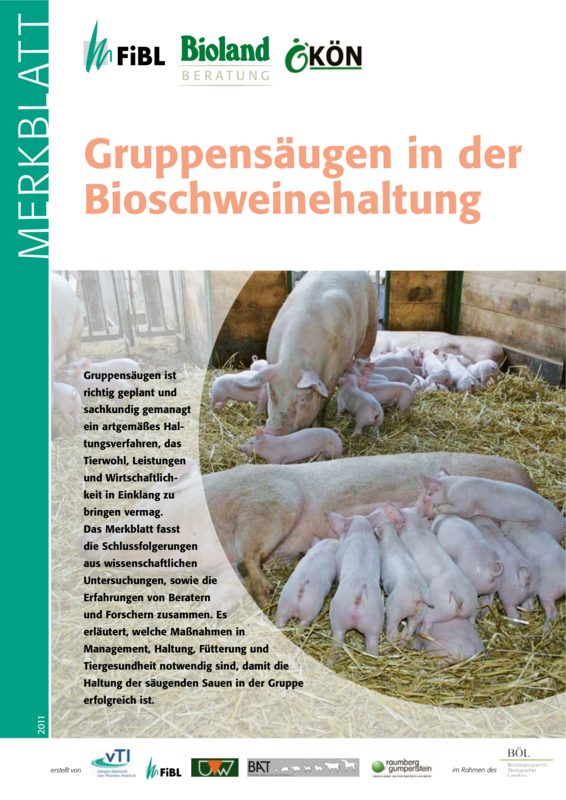 Cover: Gruppensäugen in der Bioschweinehaltung