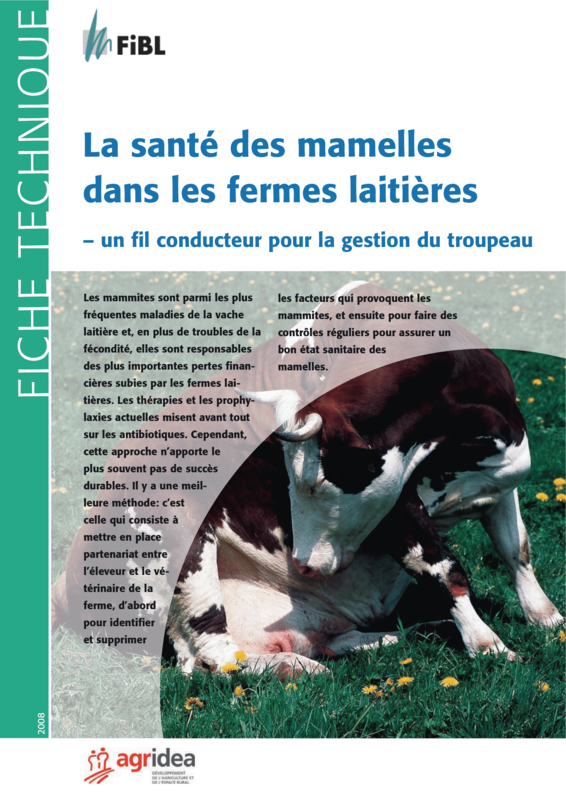 La santé des mamelles dans les fermes laitières