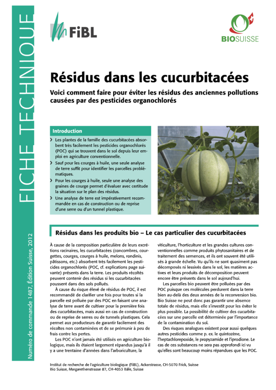 Résidus dans les cucurbitacées