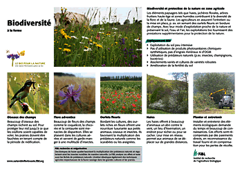 Cover: Panneau explicativ “Biodiversité à la ferme“