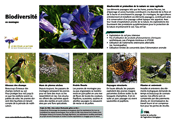 Panneau explicativ "Biodiversité en montagne"