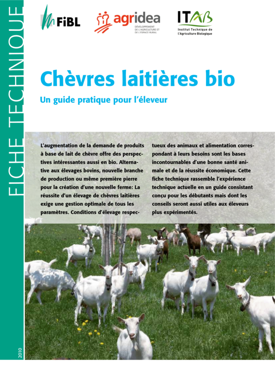 Chèvres laitières bio