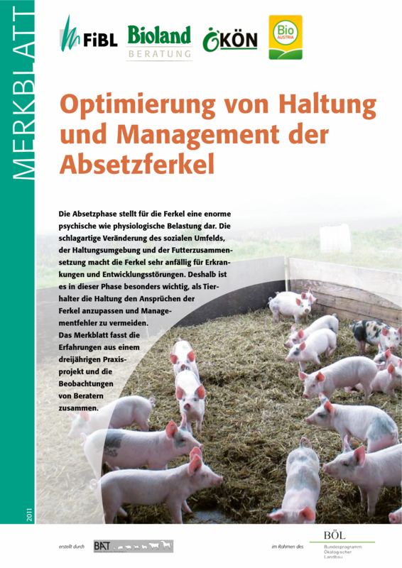 Cover: Optimierung von Haltung und Management der Absetzferkel