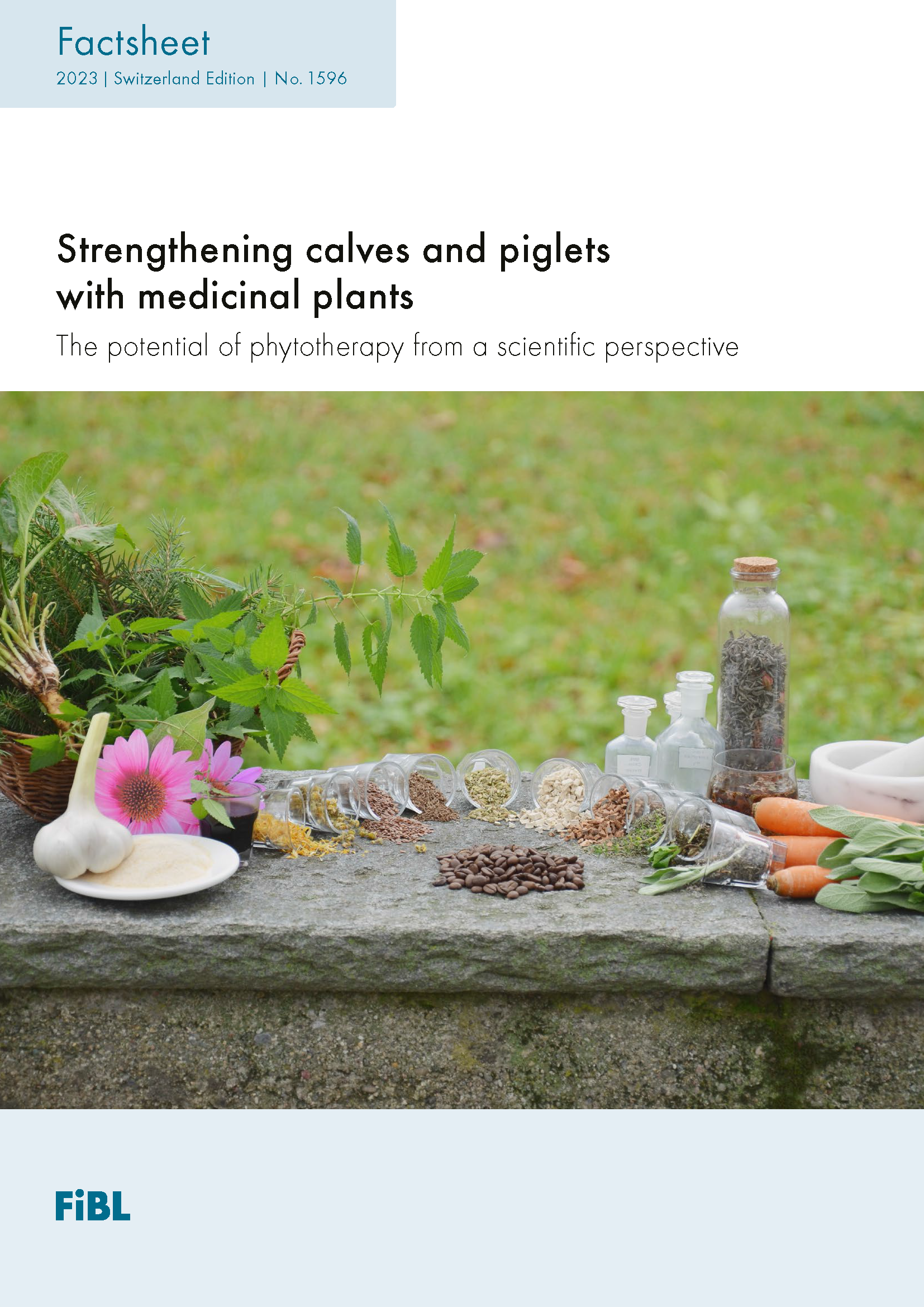 Cover: Strengthening calves and piglets with medicinal plants