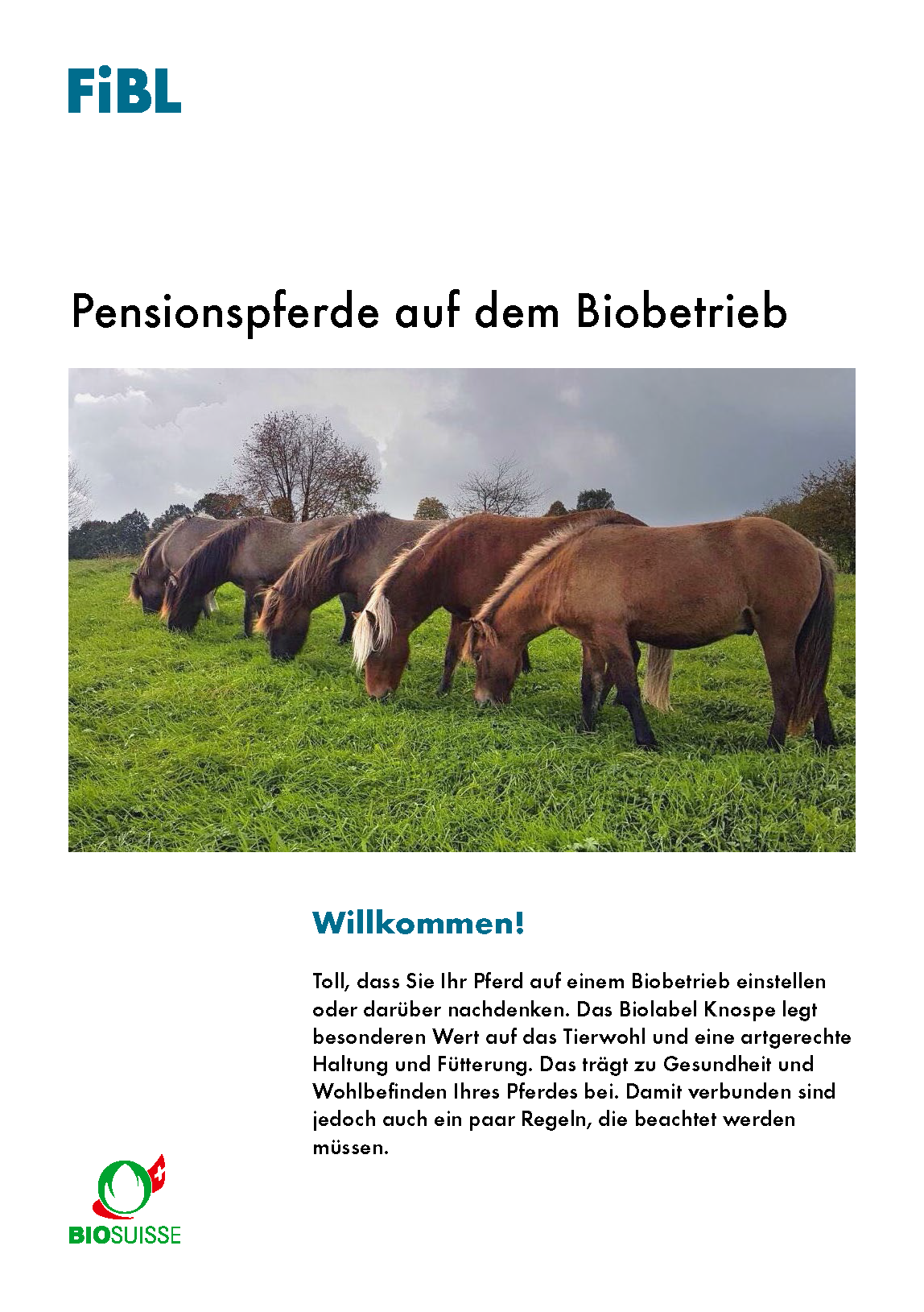 Cover: Pensionspferde auf dem Biobetrieb