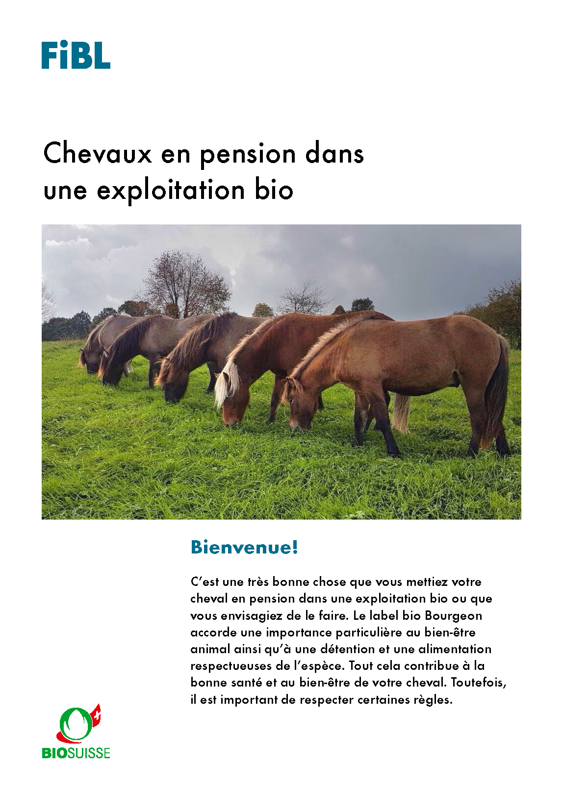 Chevaux en pension dans une exploitation bio