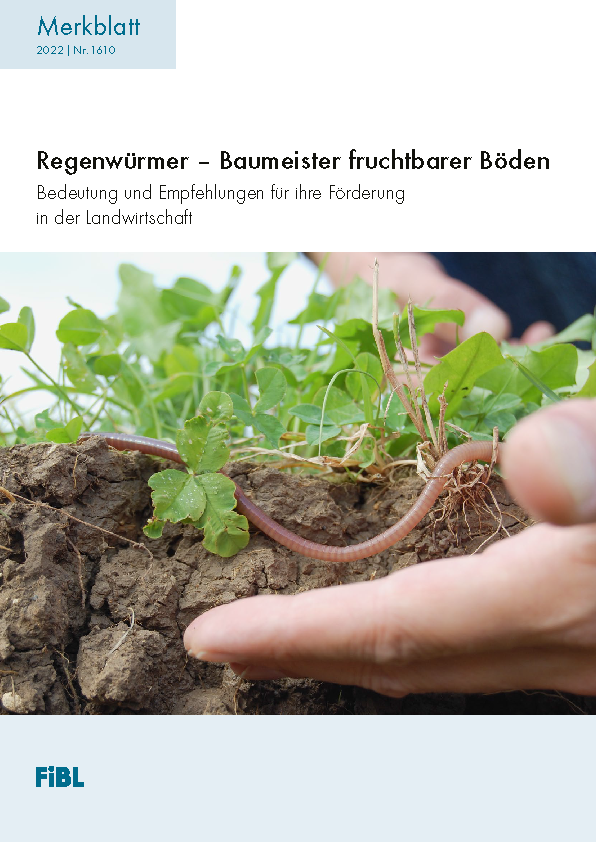 Cover: Regenwürmer