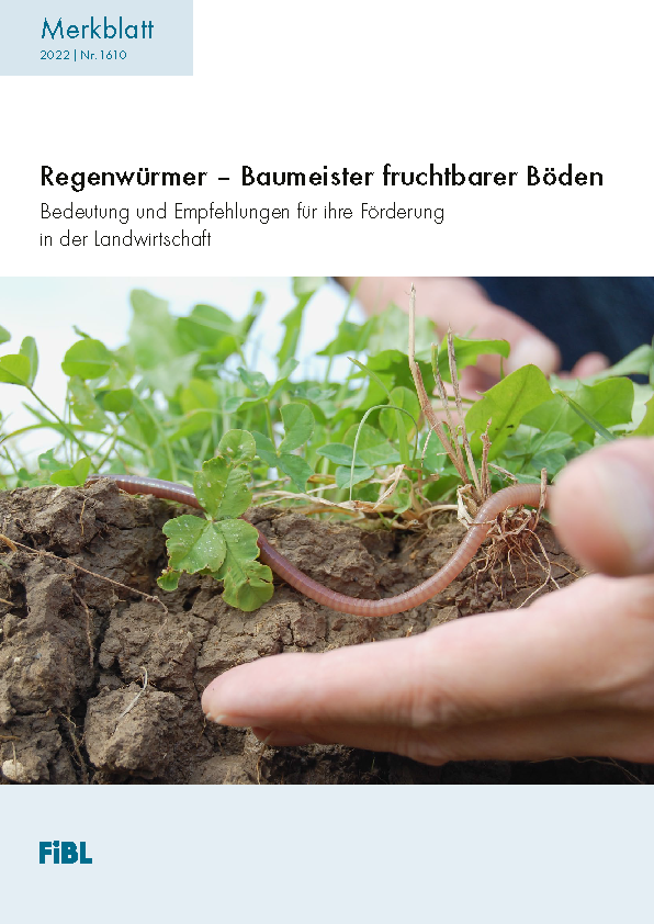 Regenwürmer – Baumeister fruchtbarer Böden