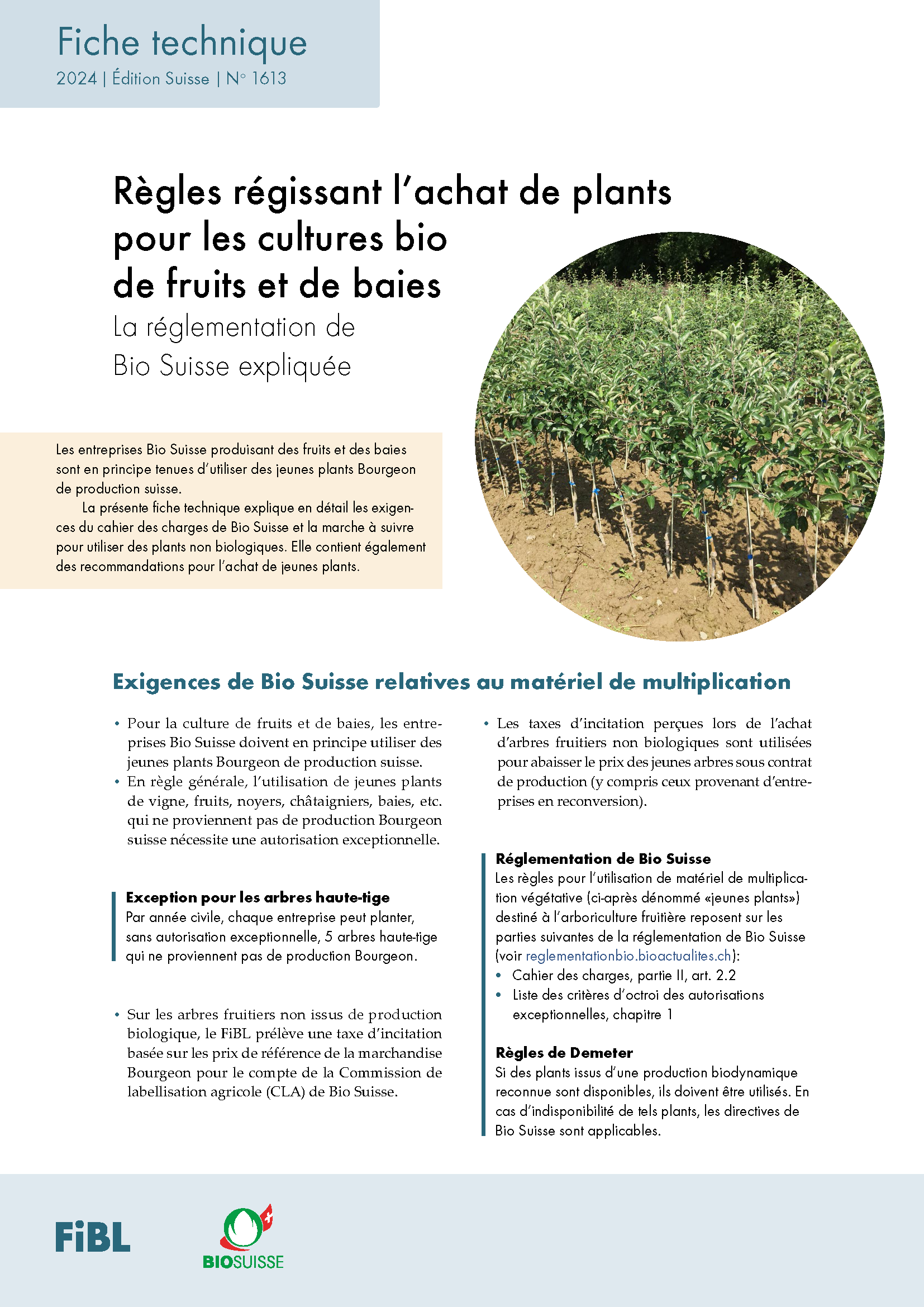 Règles pour l'achat des plants pour les cultures bio de fruits et de baies