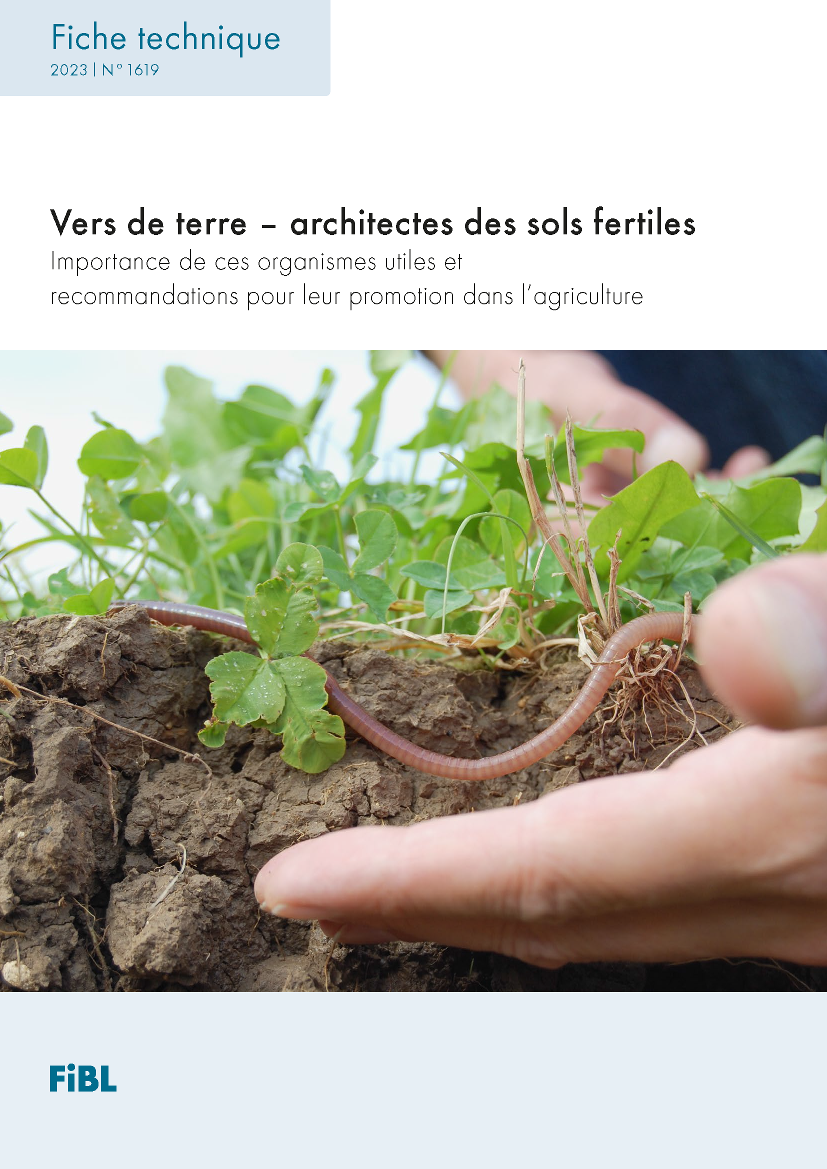 Vers de terre – architectes des sols fertiles