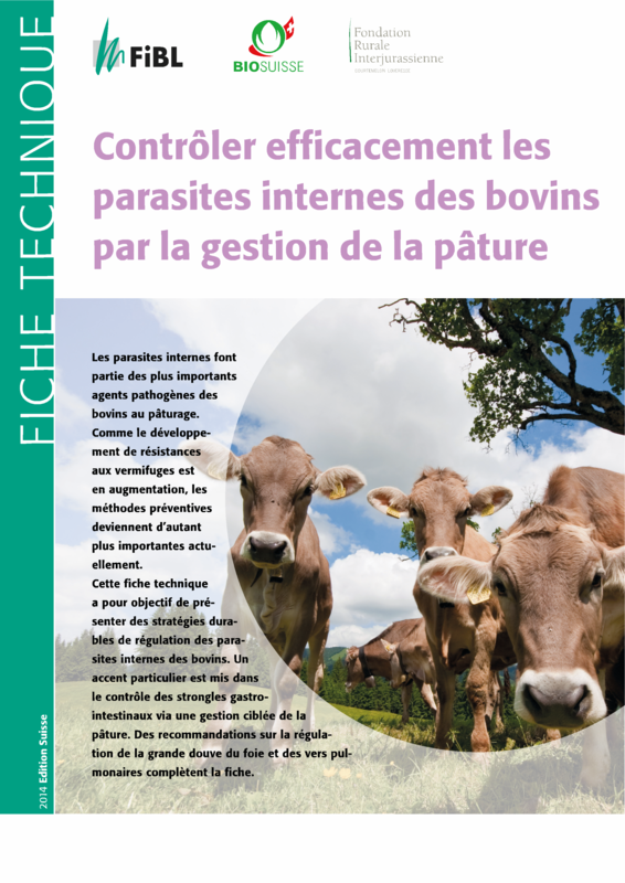 Contrôler efficacement les parasites internes des bovins par la gestion de la pâture