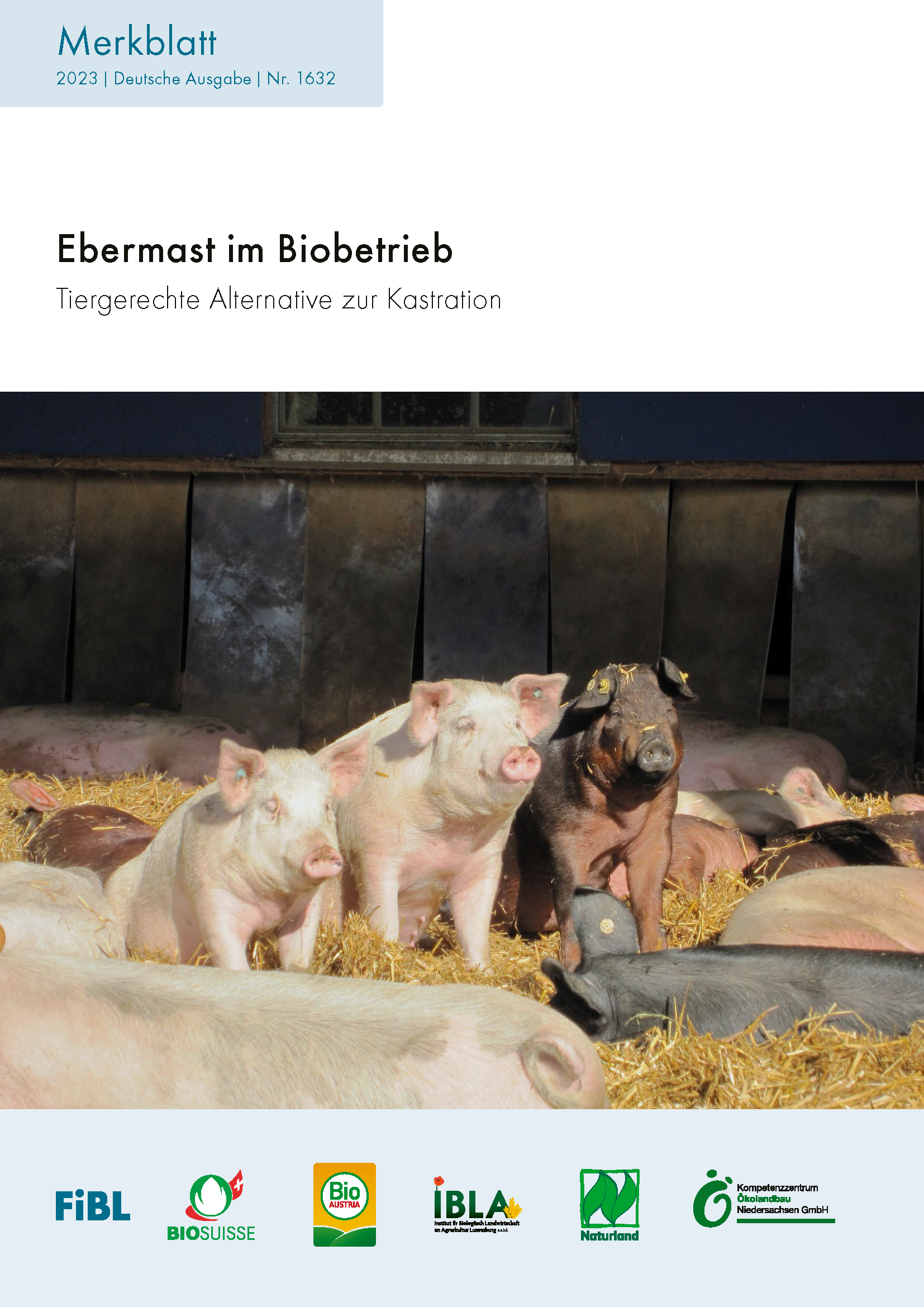 Cover: Ebermast im Biobetrieb