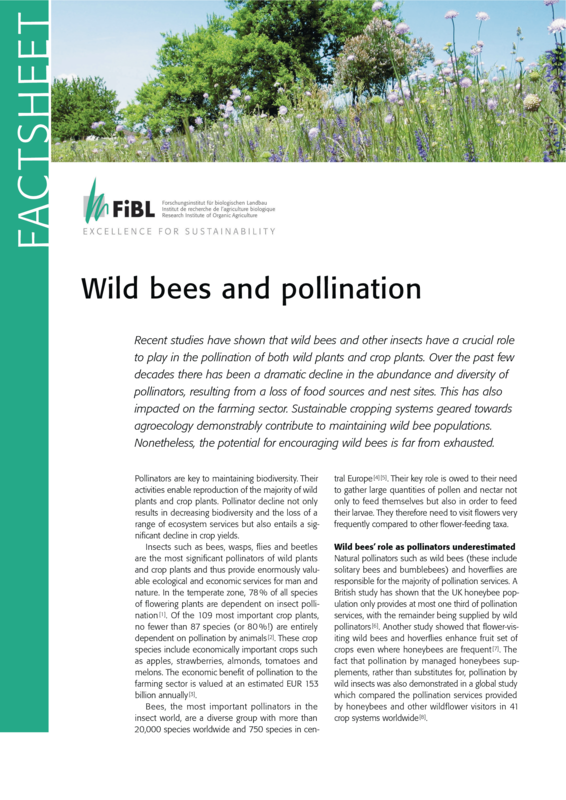 Cover: Wild bees and pollination